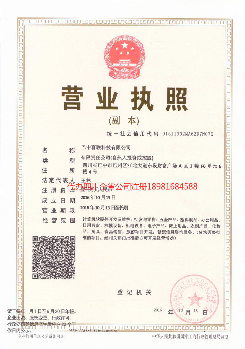 德阳德阳喜联科技有限公司